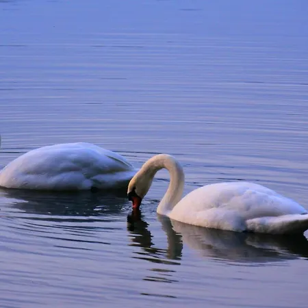 Am Kiefernweg 17 Σπίτι διακοπών *