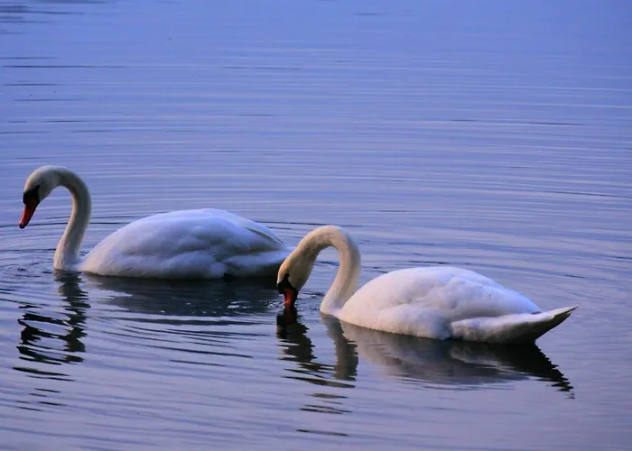Am Kiefernweg 17 Сasa de vacaciones *